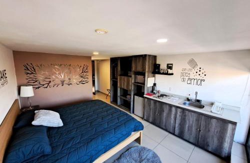 Ciudad Lopez Mateos Apartment | S09 SUITE KING Premium Suite TEC CEM Cocineta WiFi Balcón Parking Terraza