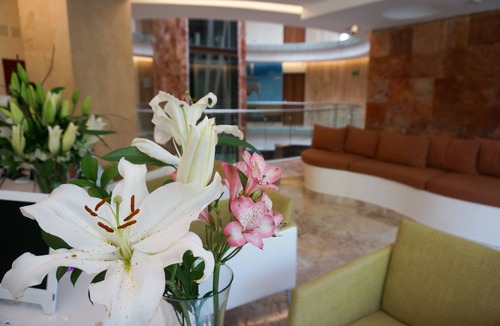 Gonzalo Guerrero Hotel | Senses Quinta Avenida By Artisan Adults Only
