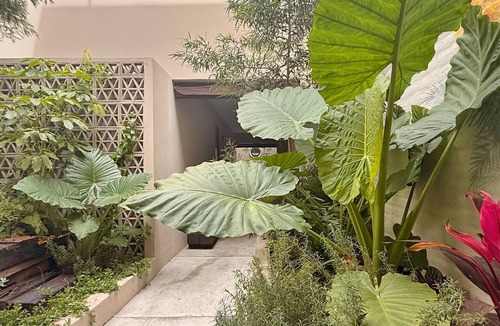 Santa Teresita Apartment | Serene 2-bedroom apartment in charming Guadalajara perfect for relaxing stay