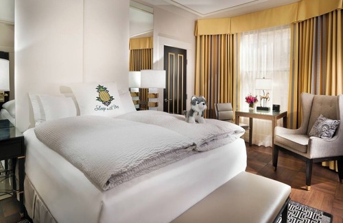 Theater District Hotel | Starlet Queen Refuge, Staypineapple, Comfort Redefined, Union Square’s Spotlight