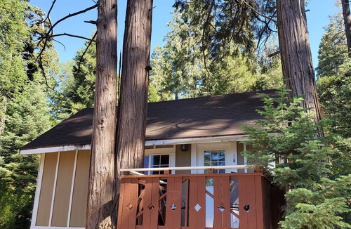 Twin Peaks Cabin | The Evening Star Lookout at The Twin Peaks Lodge