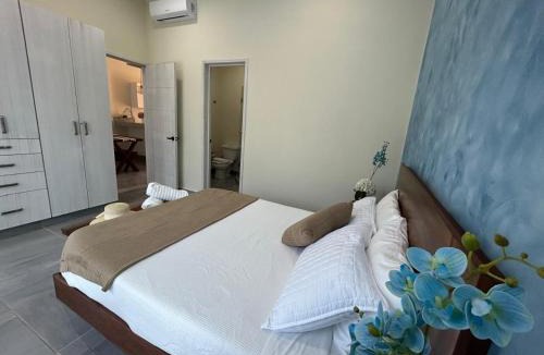 Villa Juarez Apartment | Ukana departamento