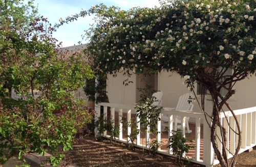 Temecula House | Walk to several of the area's most popular wineries, less than a mile away.