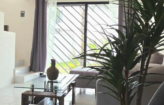 Abrazo de Sol Experience Morelos like you're at home