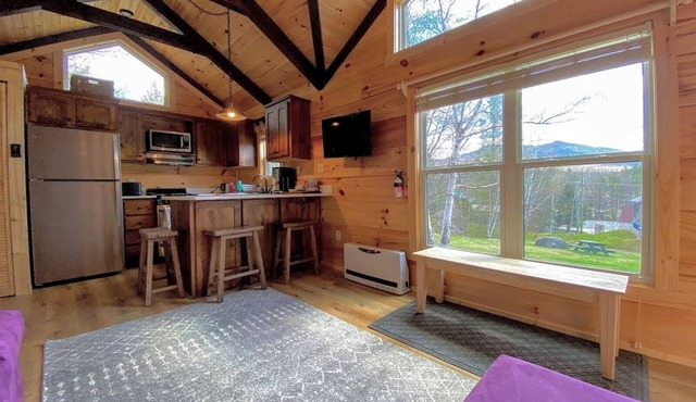 B10 Awesome "Tiny Home" A/C, Mountain Views, Minutes to Skiing, Hiking, Attractions, Dog Friendly! in Twin Mountain
