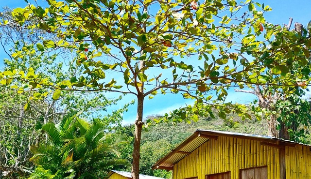 Bamboo cabin with 2 double beds