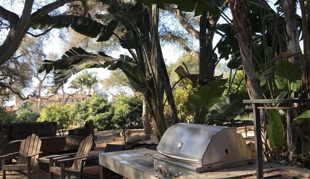 Beautiful mountain view avocado ranch. 6 minutes to Carpinteria & beaches.