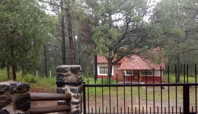 Cabaña ecológica en el bosque
