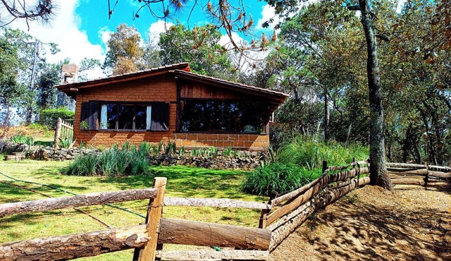 Cabaña en medio del bosque ZA