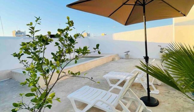 Casa Begonias