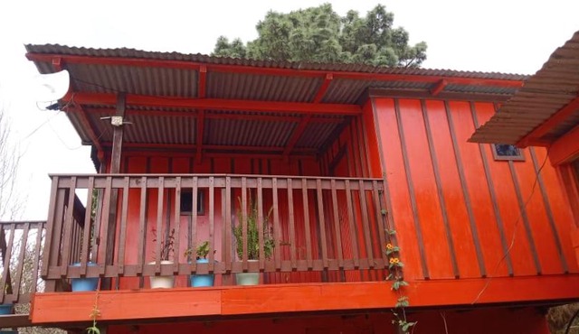 CASA DEL BOSQUE