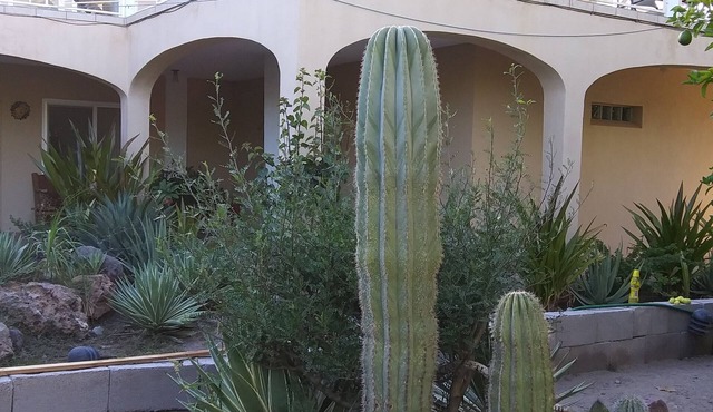 Casa Grande is all you are looking for, and more.