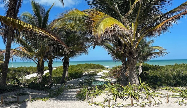 Casa Reyna - Beachfront 2-bedroom house with AC in beautiful El Cuyo