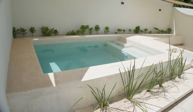 Casa Venado - Elegant 2-Bedroom Home with Private Pool, WiFi, and Pet-Friendly.