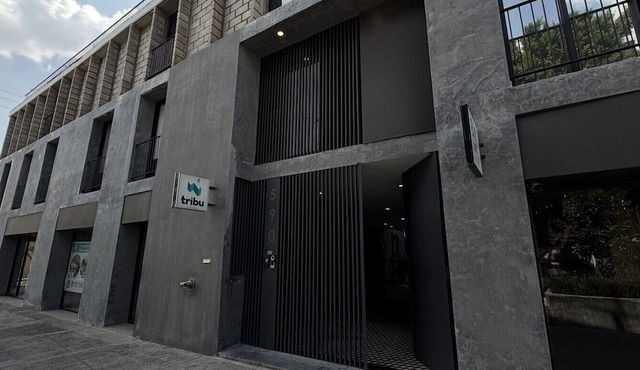 Chic Single Loft with Terrace | 1 BD | Tribu Colón