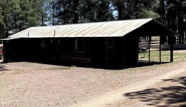 Comfy Cozy Cabin in the tall pines of Alpine AZ #1