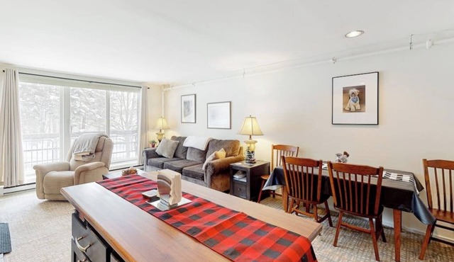 Convenient condo w/mountain view, fireplace, near lift, ski locker, 1st floor in Warren