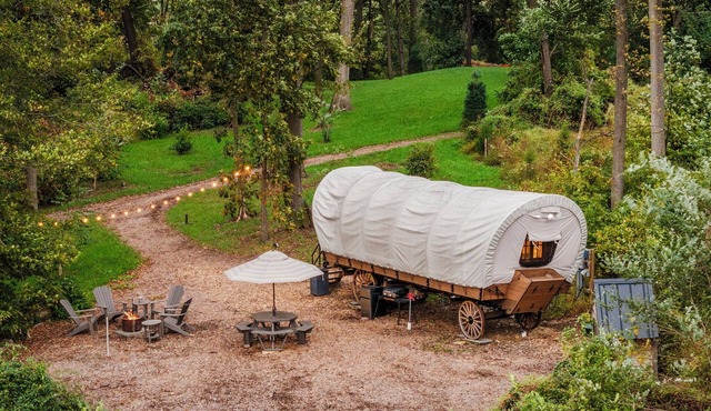 Covered Wagon with Valley View, Sleep 4 in Paradise