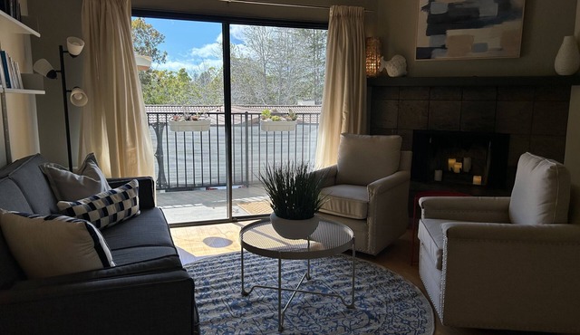 Darling W/View, Garage, Pool, AC, 2 Min to Downtown, Pet Friendly