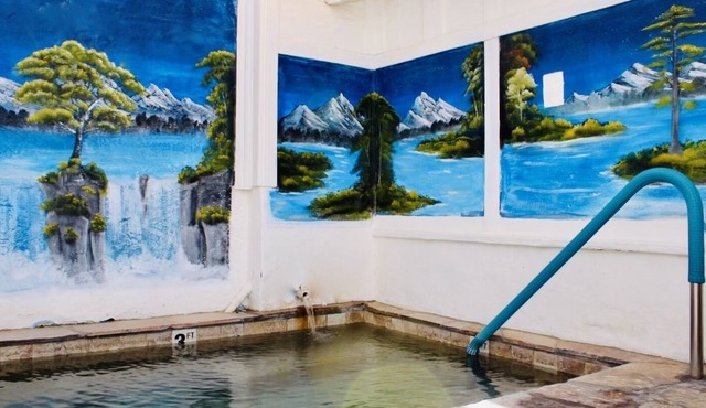 Death Valley Hot Springs 1BR