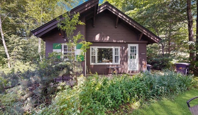 Dog-friendly & charming mountain chalet w/fireplace in Franconia