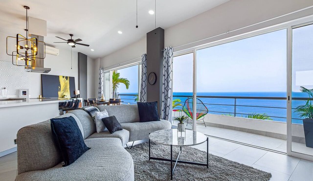 Dog-friendly ocean view penthouse & studio with a full kitchen & kitchenette