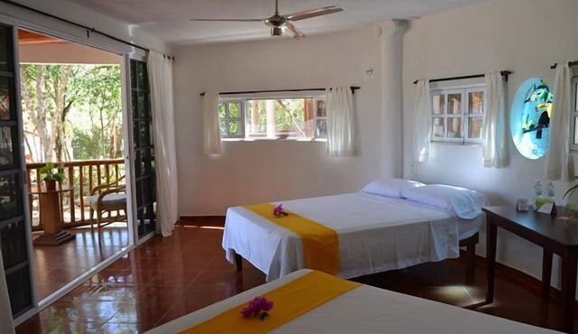 Eco-Hotel Nueva Altia