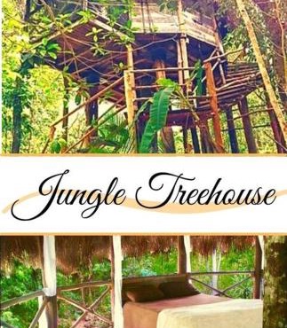 Exclusive Treehouse and Cenote - Sweet Jungle Dreams in Leona Vicario