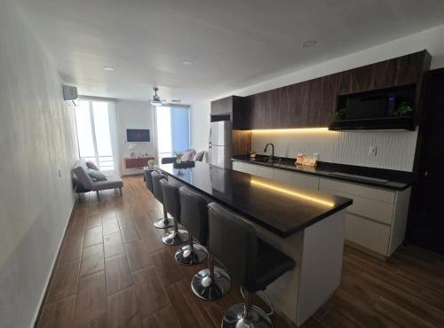 hermoso departamento totalmente equipado ,céntrico, aberca, elevador , estacionamiento privado