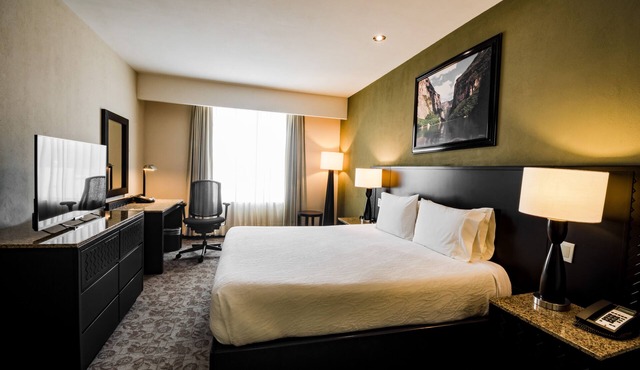 Hilton Garden Inn Tuxtla Gutierrez