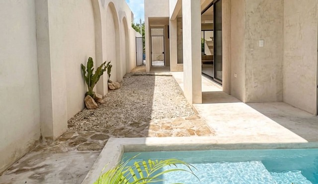 Jungle Villa + Private Studio w/Rooftop Access | 2BR + Studio | Sleeps 6