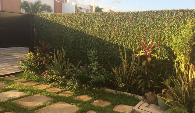 la mejor de playa del carmen
