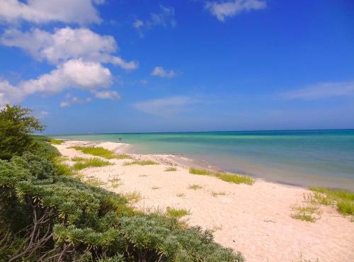 Lemnus Luxury villa walking distance to Chicxulub