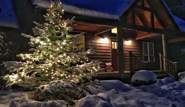 Luxury Mountain Home - Mt. Rainier/Crystal Mt. Premier Getaway! in Enumclaw