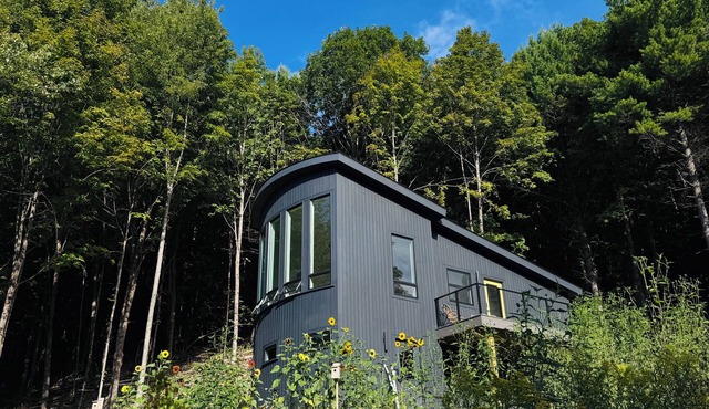 Magical Forest Retreat + Sauna near Mt. Philo & Lake Champlain in Charlotte