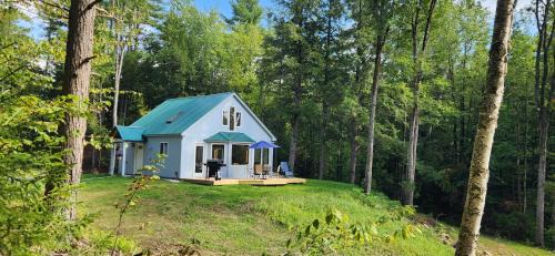 Magical Retreat Cottage, 15 min from Mt Snow skiing in South Newfane