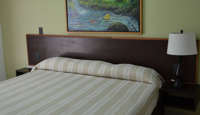 Renovated 5 Element house with small pool 15 minutes from downtown Oaxaca
