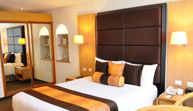 Royal Pedregal Hotel