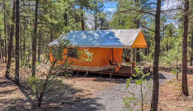 Safari Tent Glamping Near Grand Canyon in Williams, Arizona