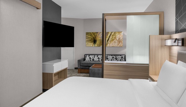 SpringHill Suites by Marriott Riverside Redlands