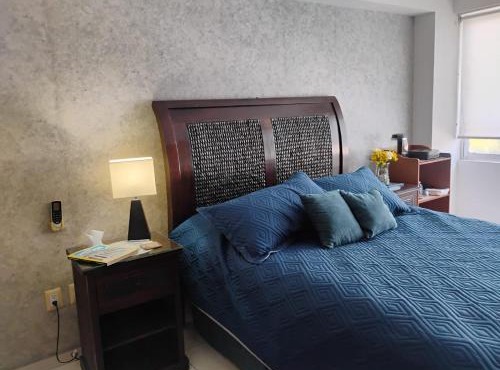Suite Amueblada con alberca