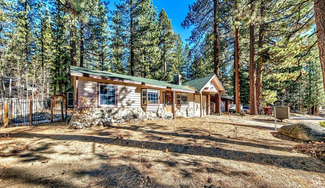 The Lazy Bear's Den-guests love the backyard, family room and location! in South Lake Tahoe