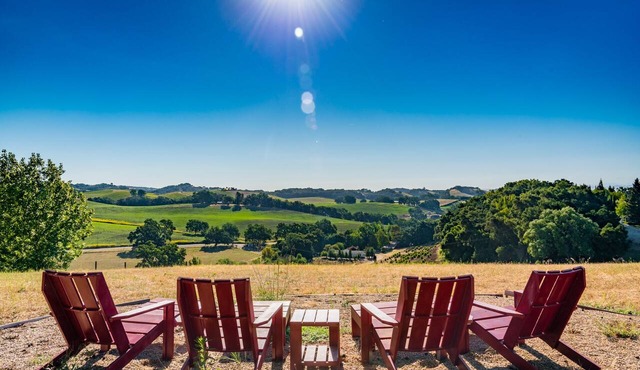 Vineyard Views + Fire Pit | Hilltop Wine Country | Orchard Hill Farm
