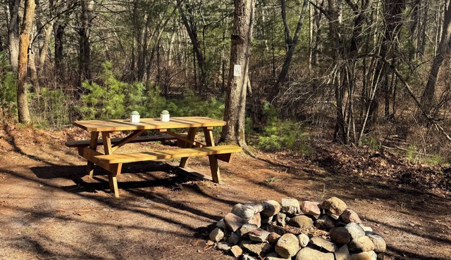 Wilderness Camp in Richmond