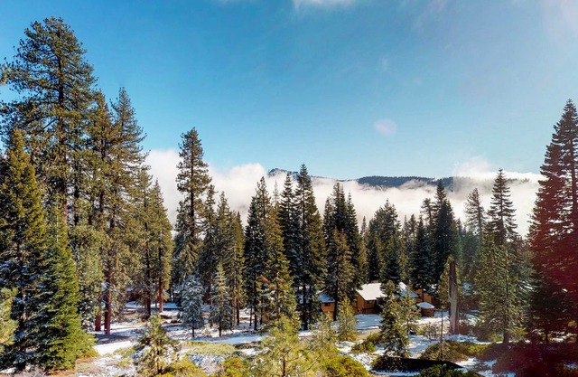Dog-friendly condo near Huntington Lake w/ gorgeous deck views