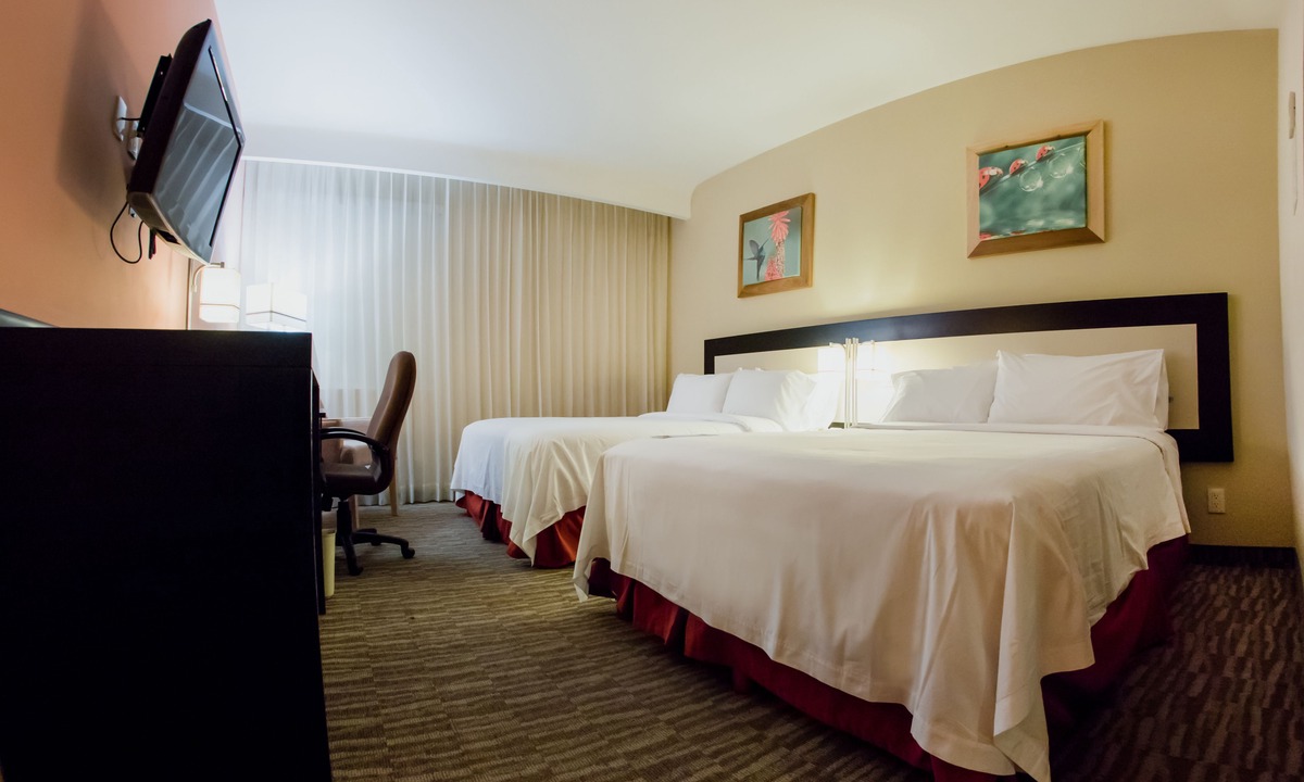 San Juan del Rio Hotel | Excellence Express San Juan del Río
