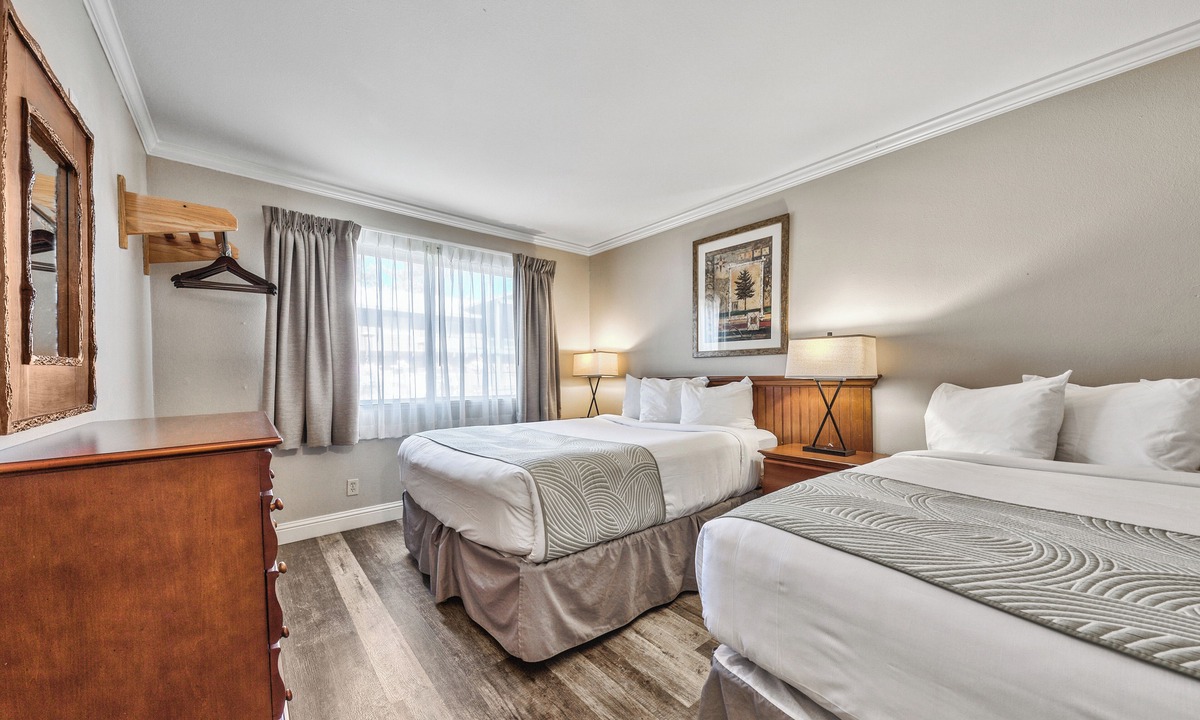 South Lake Tahoe Hotel | Just What You Were Looking For! Pet-friendly Property, Free Breakfast!