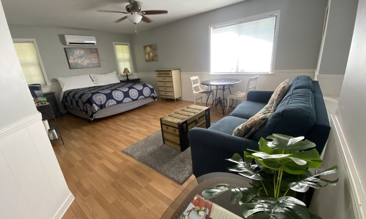 Chico House | Large king guest room with private entrance and bathroom.