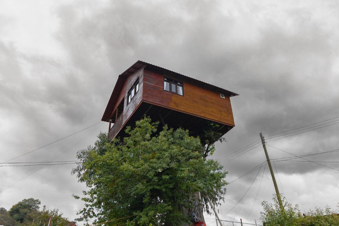 Omitlan de Juarez House | Casita del Arbol Trini By GEstores