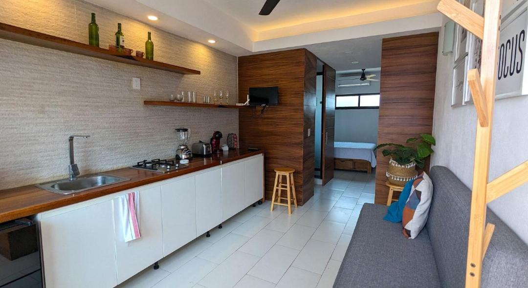 Colonia 5 de Diciembre Apartment | Luminous Studio in the Heart of Vallarta (2)